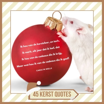 45 Kerst Quotes